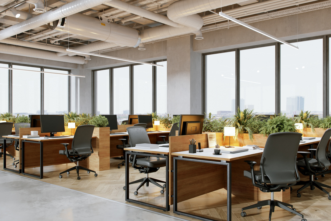 Sustainable Green Co-Working Office Space